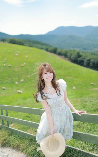 2026新澳正版资科免费实