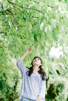 特战荣耀在线观看免费完整版