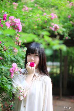 2025热播古风短剧免费看